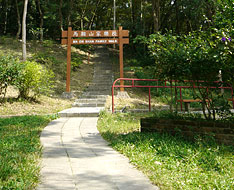 Entry of the trail