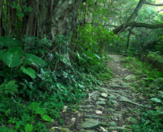 The ancient stone path
