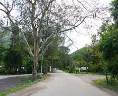 Along Hok Tau Road