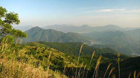 俯瞰城門、針山及獅子山