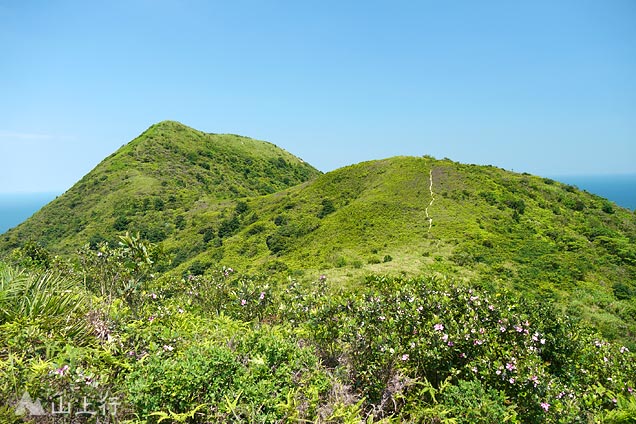 睇魚岩頂