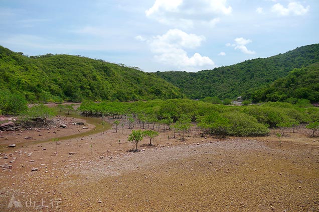 三椏涌