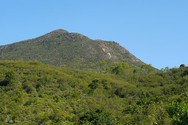 Tiu Tang Lung