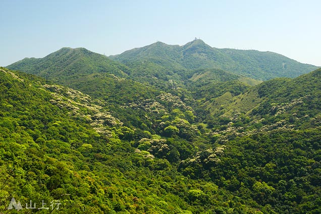 大老山