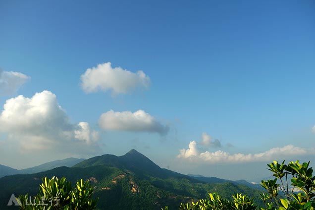 針山