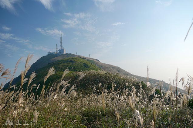 飛鵝山